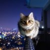ООО компания 